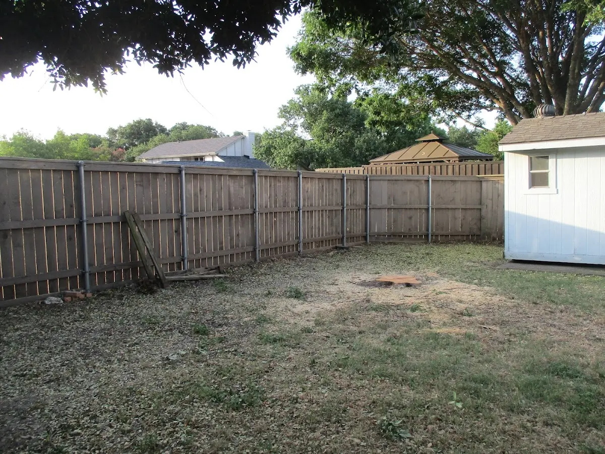 Cleared yard after professional tree removal in Ellerslie